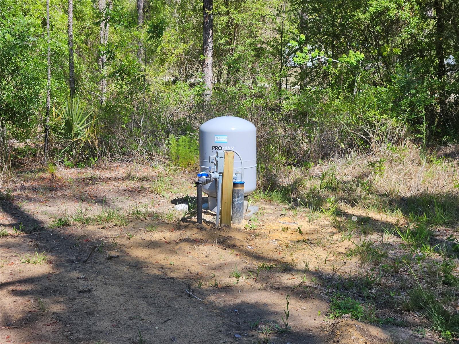 14230 SE 20TH ST, MORRISTON, FL, 32668
