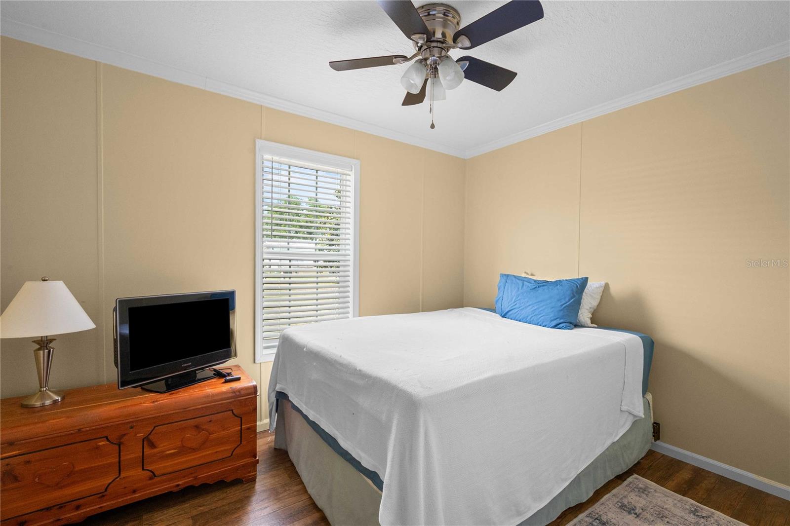 10042 COLLINGWOOD AVE, DADE CITY, FL, 33525