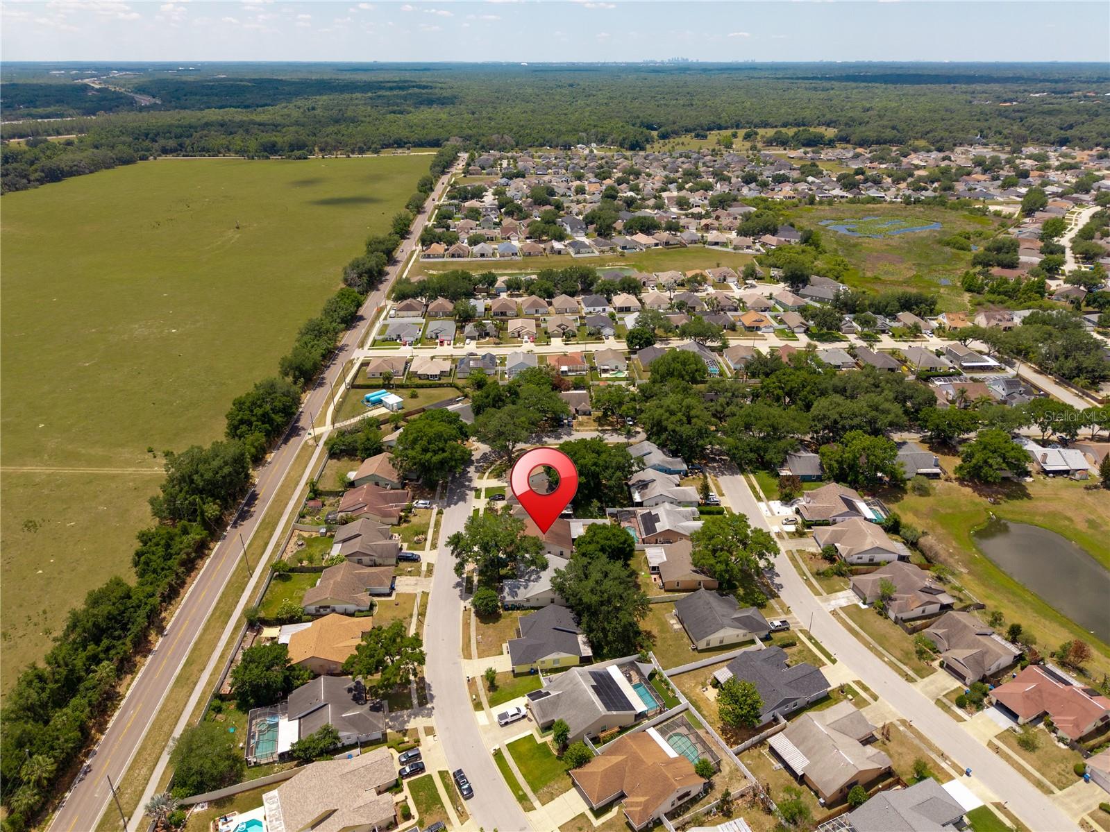 1533 GUNSMITH DR, LUTZ, FL, 33559