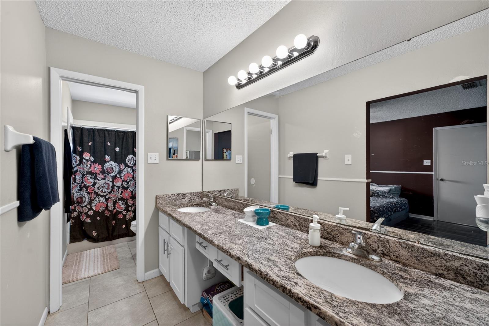 1533 GUNSMITH DR, LUTZ, FL, 33559