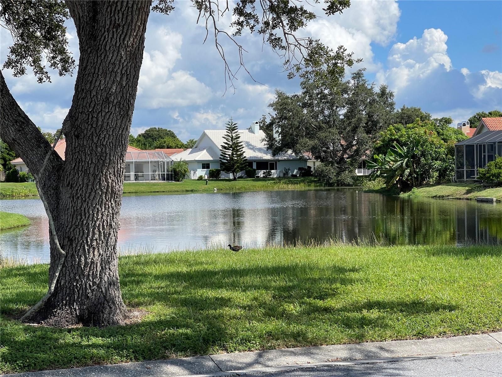 3724 71ST TER E, SARASOTA, FL, 34243