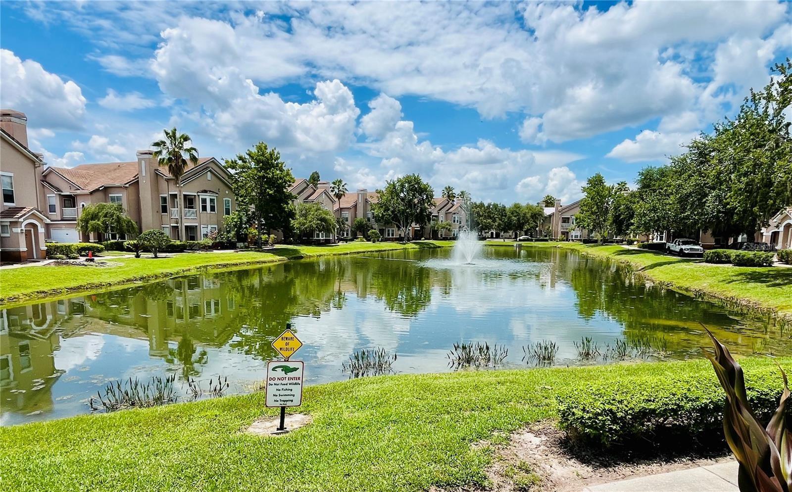 18105 VILLA CREEK DR, TAMPA, FL, 33647