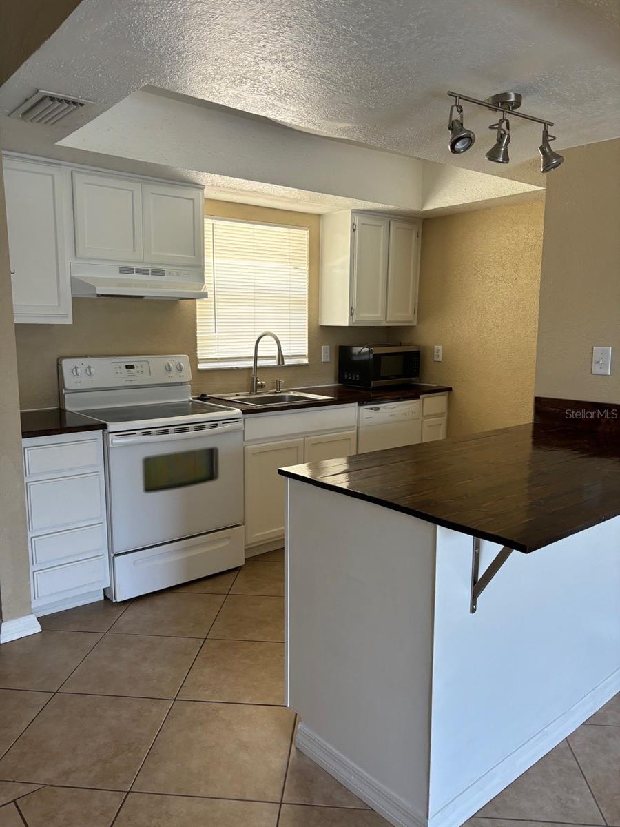 5109 LAWNTON CT, TAMPA, FL, 33624