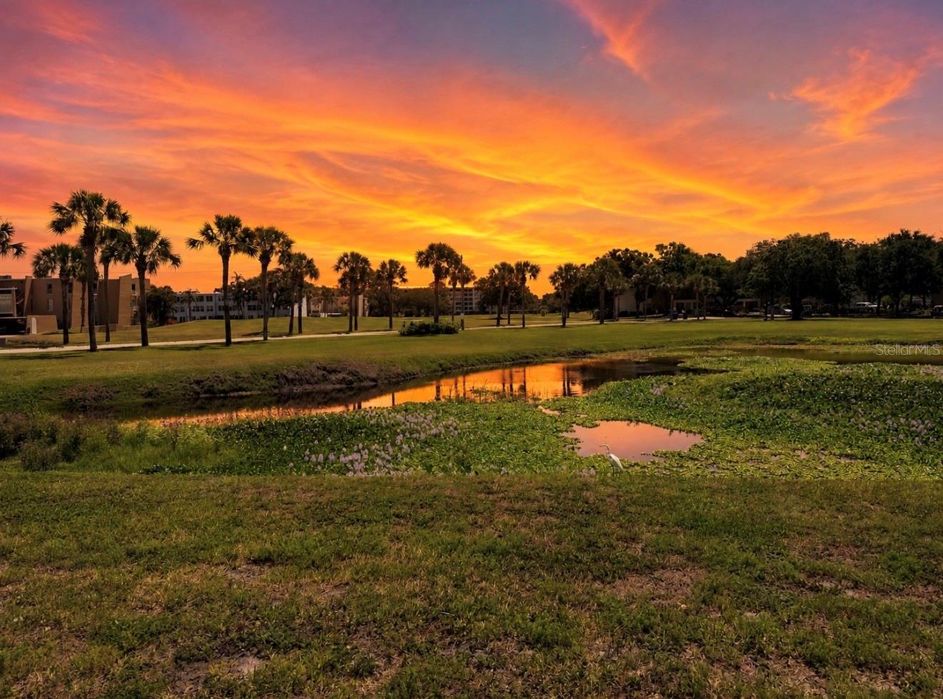200 COUNTRY CLUB DR #1505, LARGO, FL, 33771