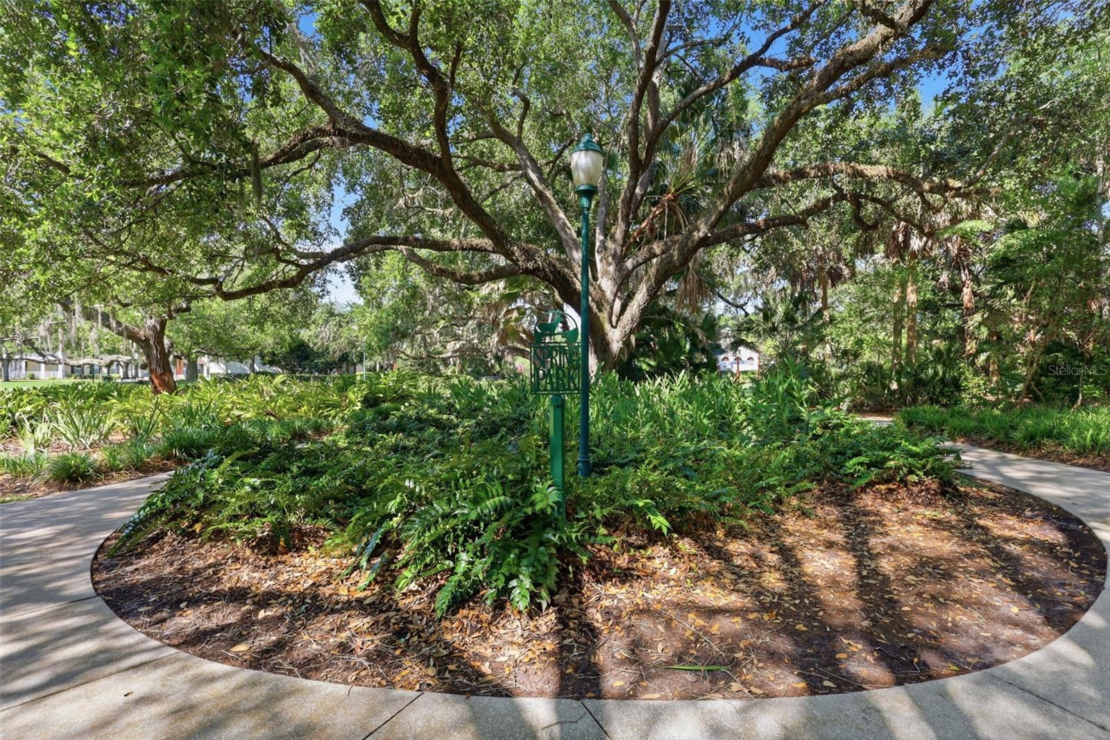 907 PAWSTAND RD, CELEBRATION, FL, 34747
