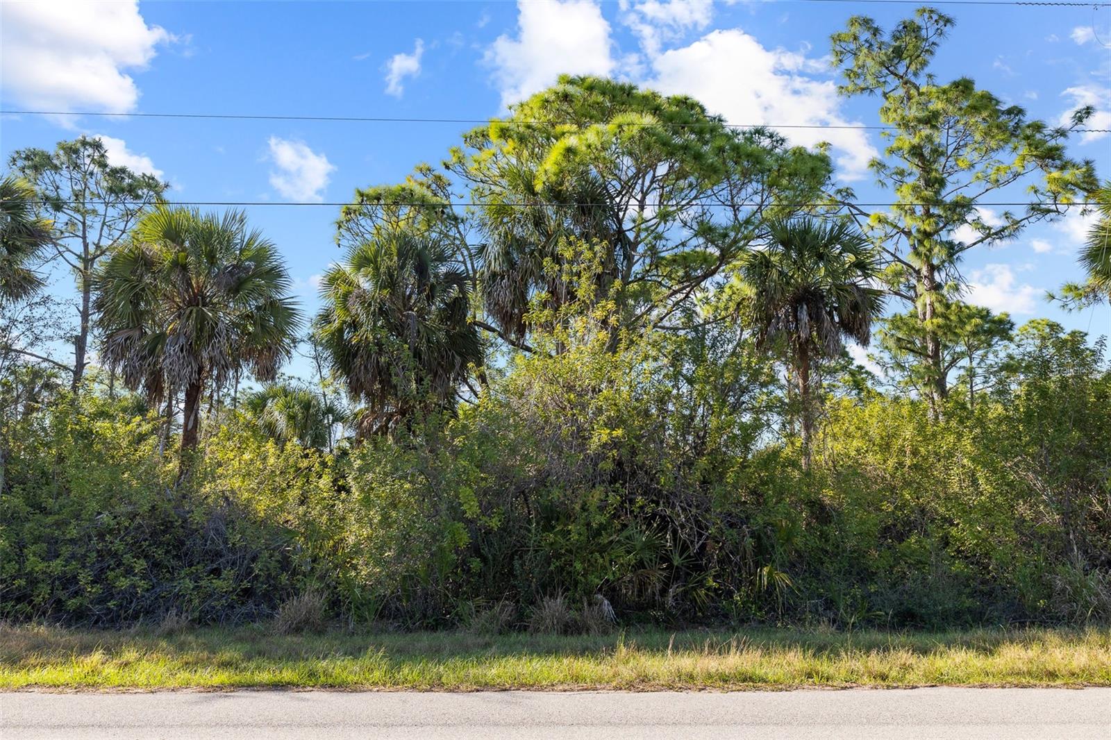 425 CHESHIRE ST, PORT CHARLOTTE, FL, 33953