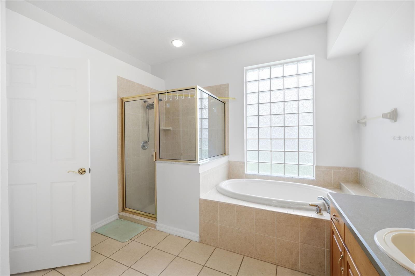 10209 SHADOW BRANCH DR, TAMPA, FL, 33647