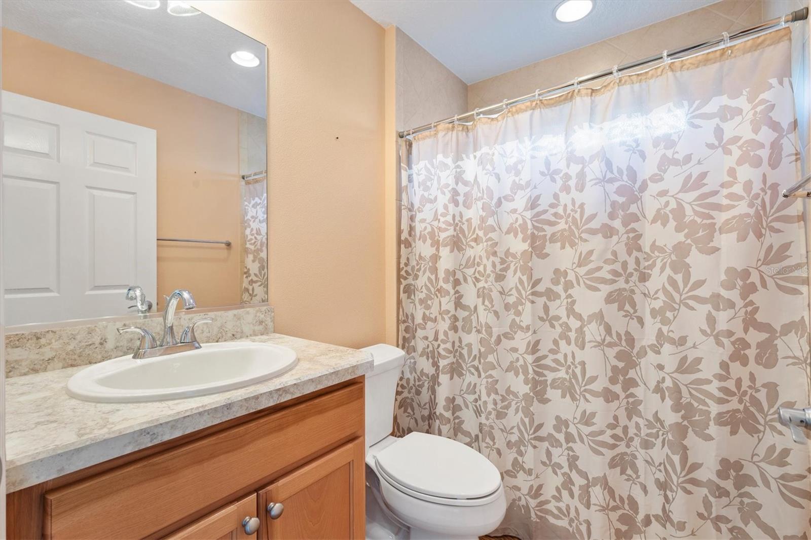 1443 ALESIO ST, THE VILLAGES, FL, 32163