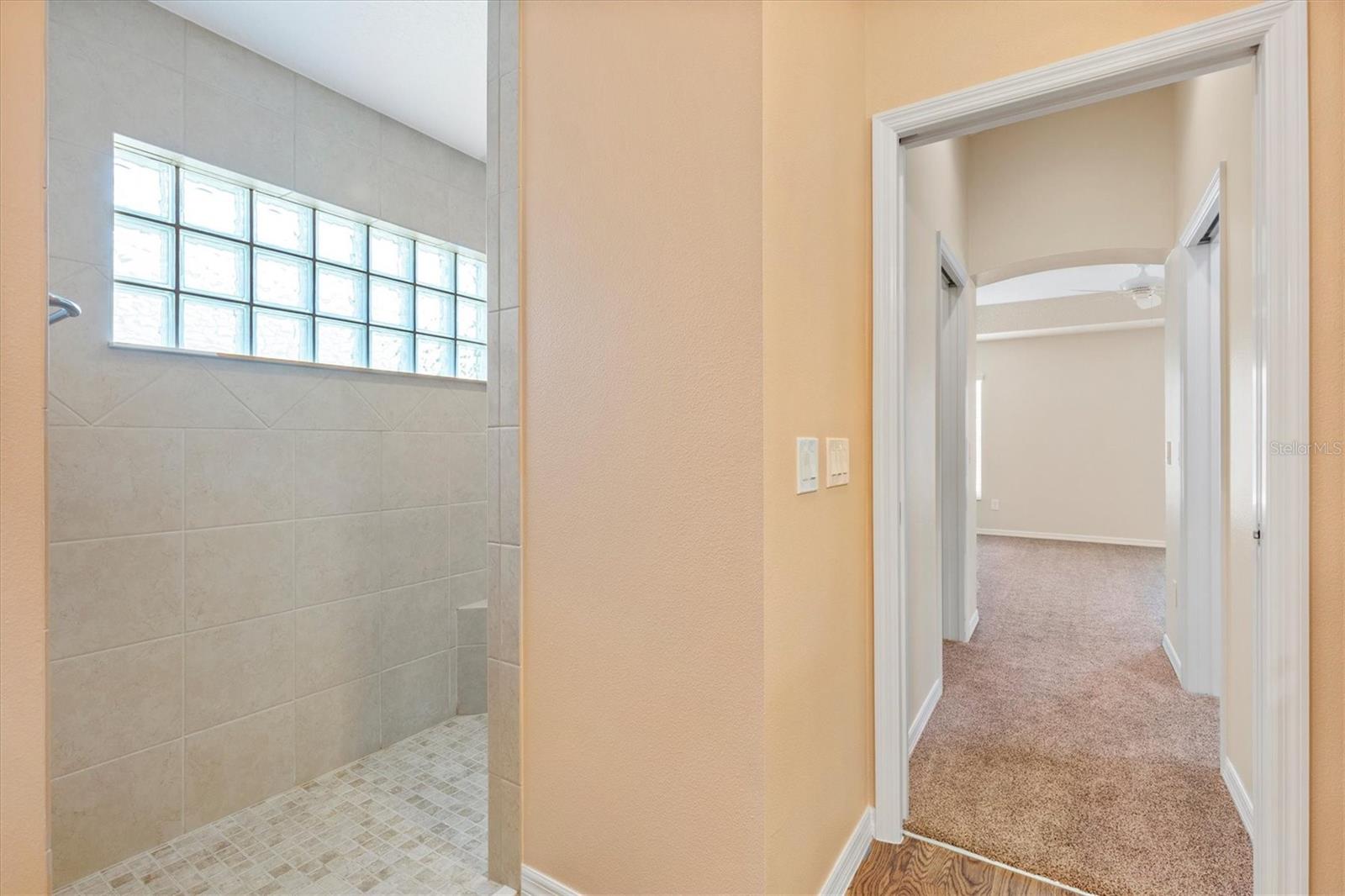 1443 ALESIO ST, THE VILLAGES, FL, 32163