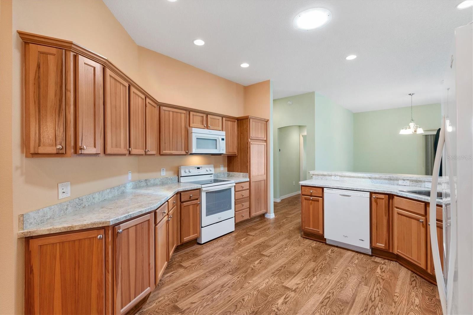 1443 ALESIO ST, THE VILLAGES, FL, 32163