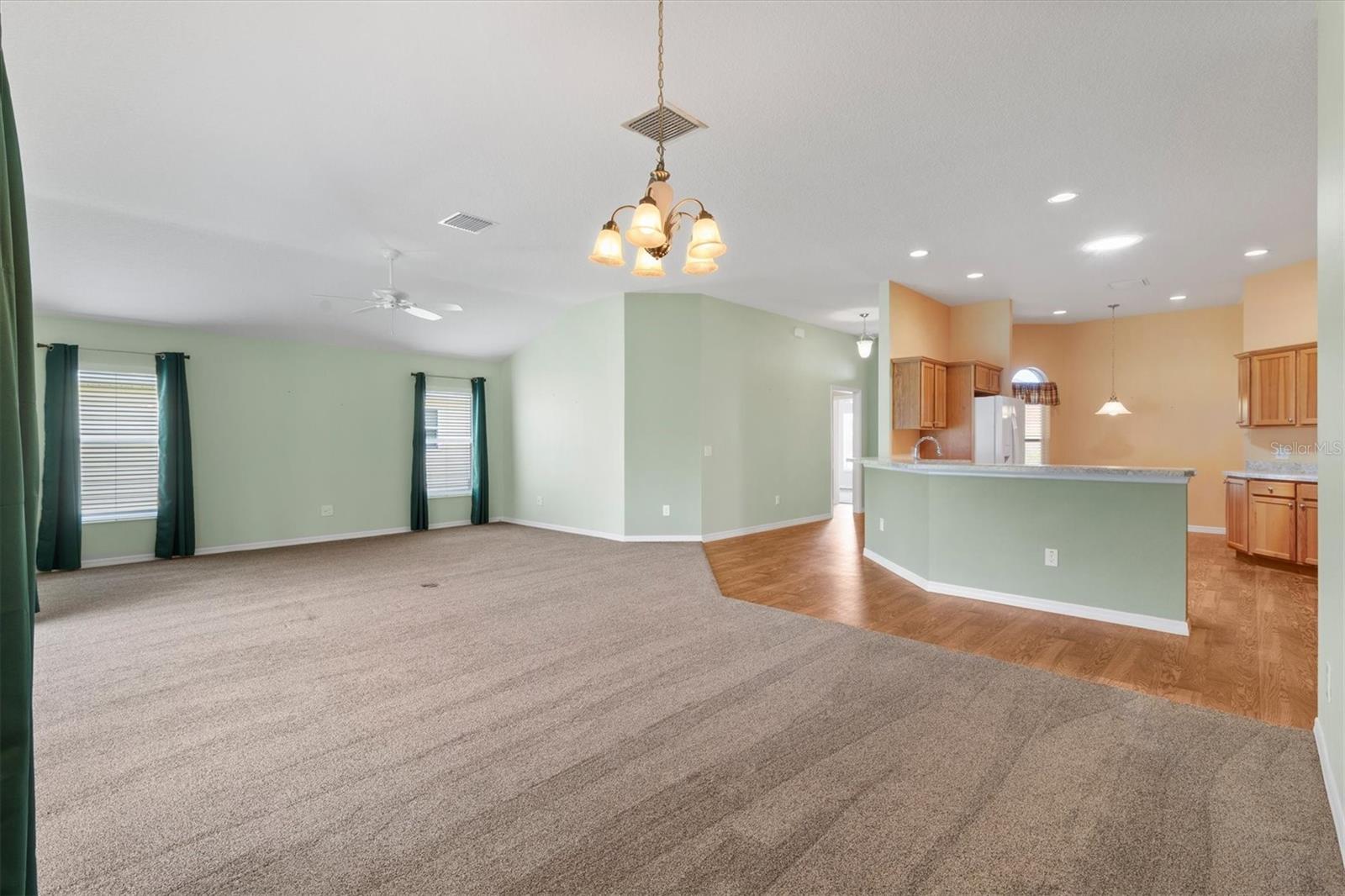 1443 ALESIO ST, THE VILLAGES, FL, 32163