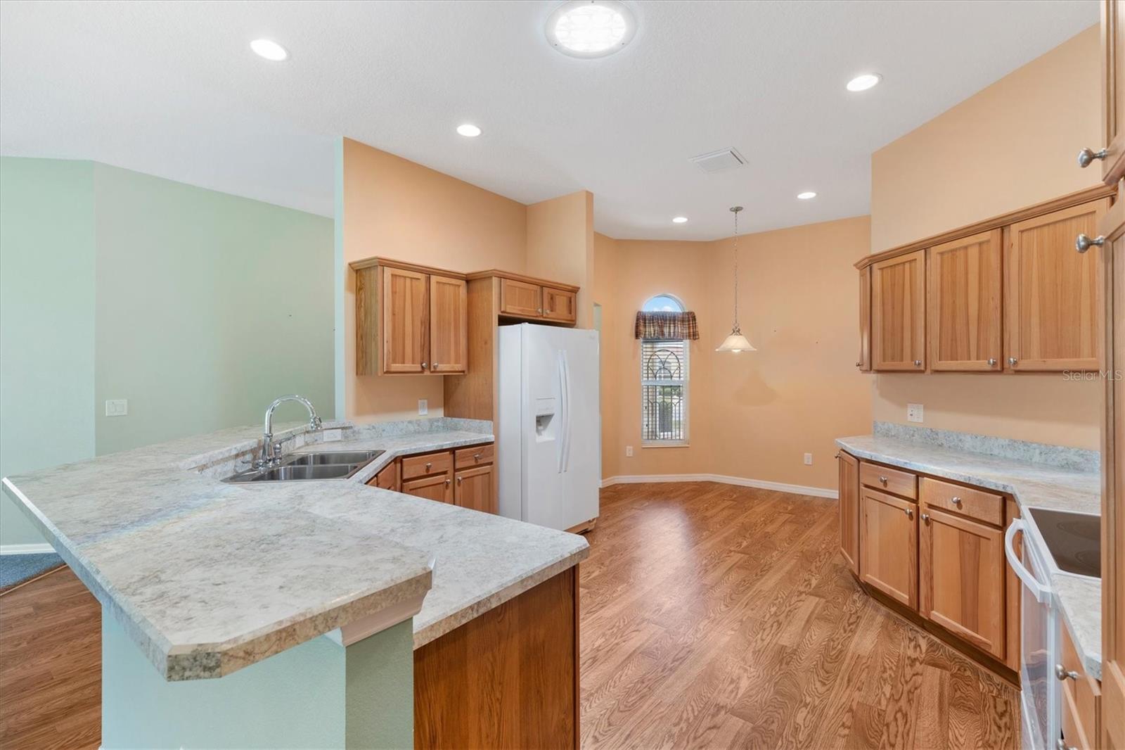 1443 ALESIO ST, THE VILLAGES, FL, 32163