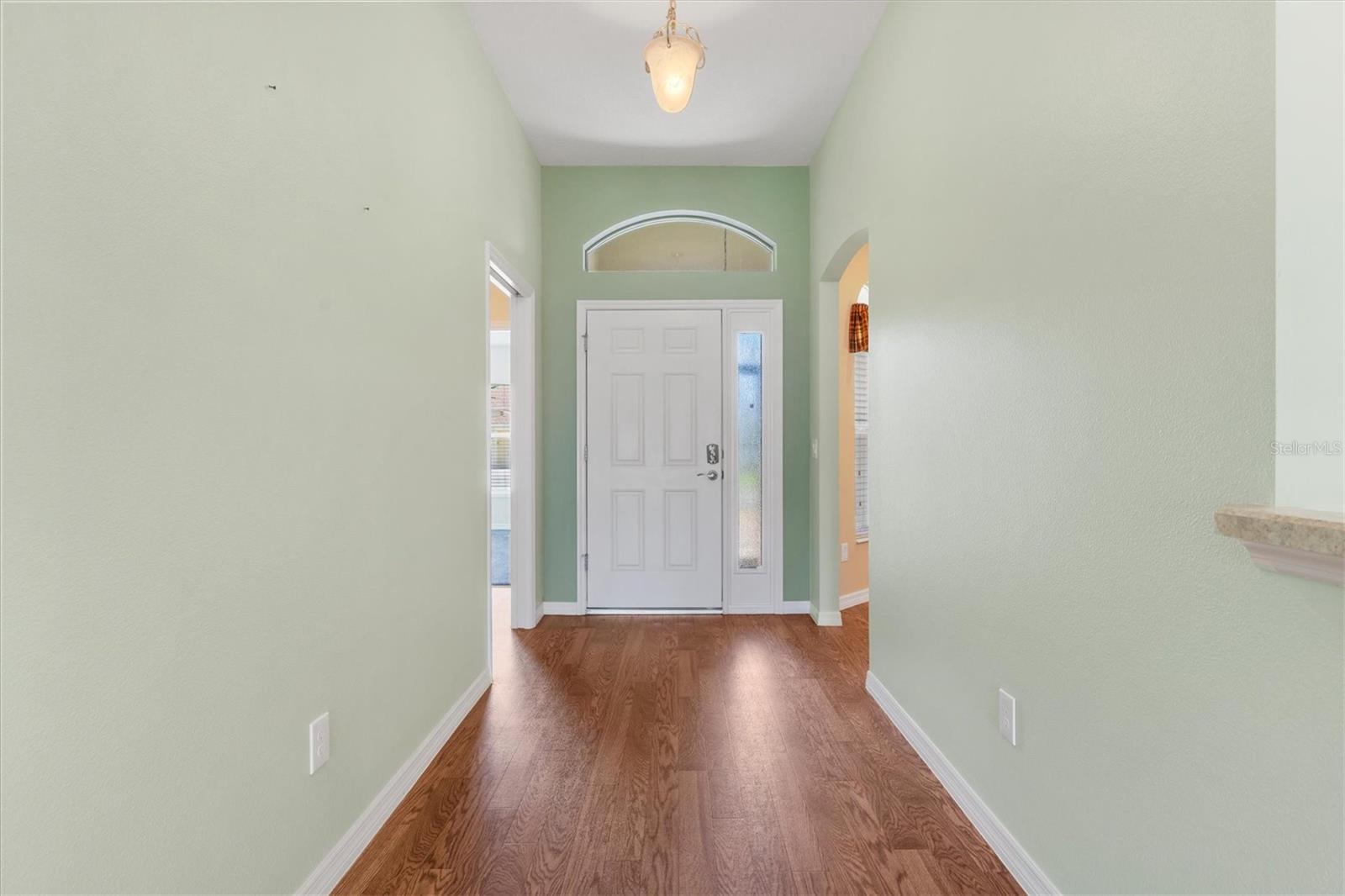 1443 ALESIO ST, THE VILLAGES, FL, 32163