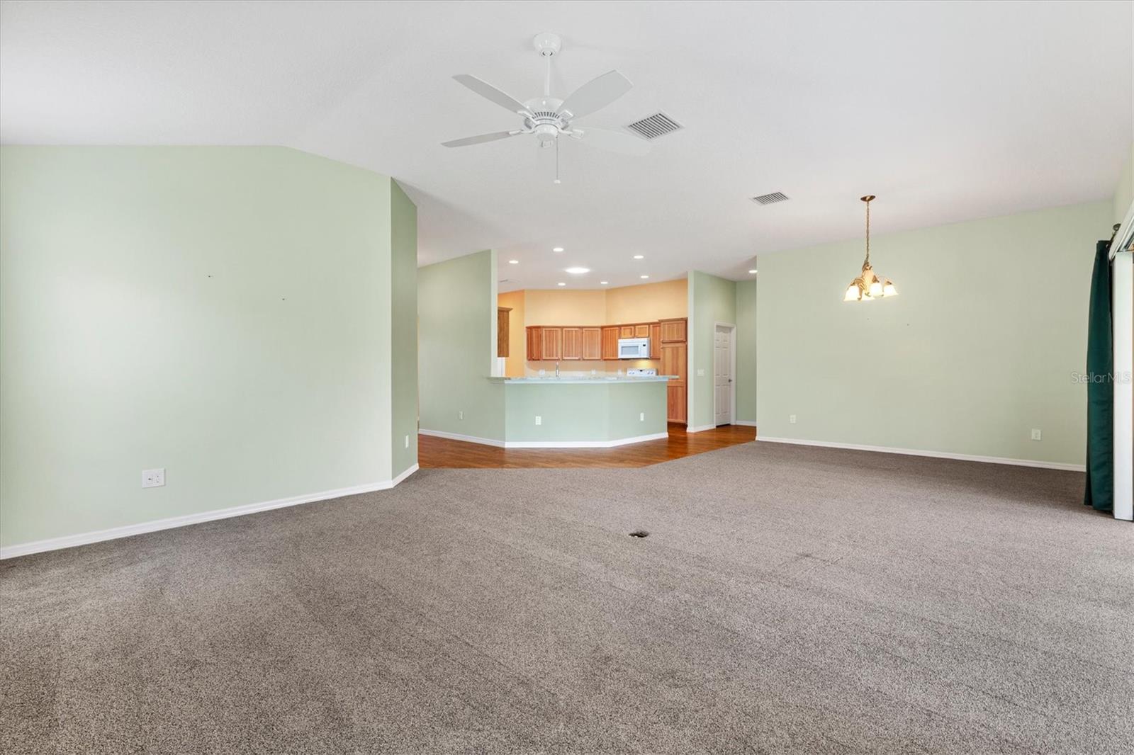 1443 ALESIO ST, THE VILLAGES, FL, 32163