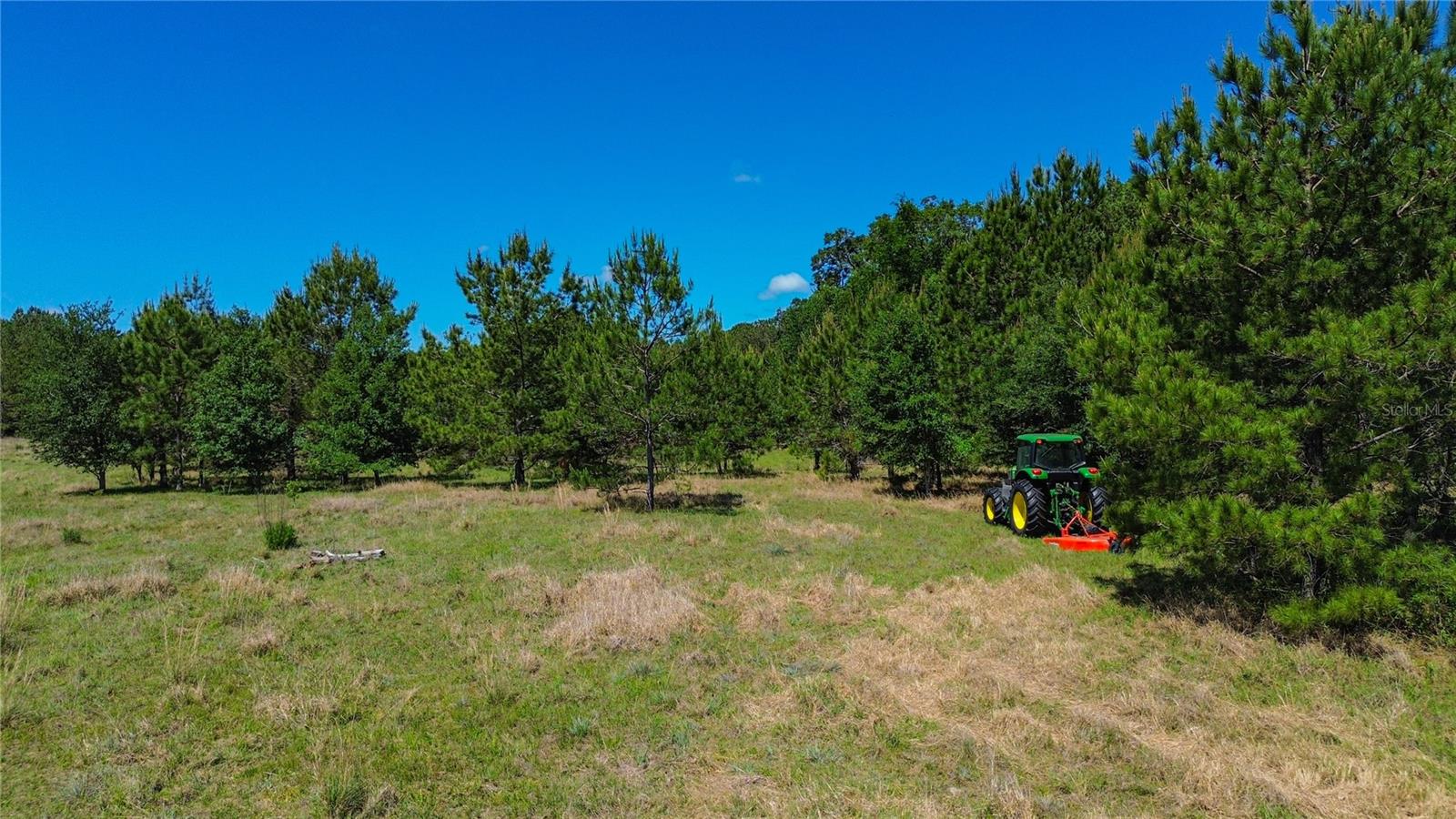 6489 QUARTERHORSE LN, BROOKSVILLE, FL, 34604