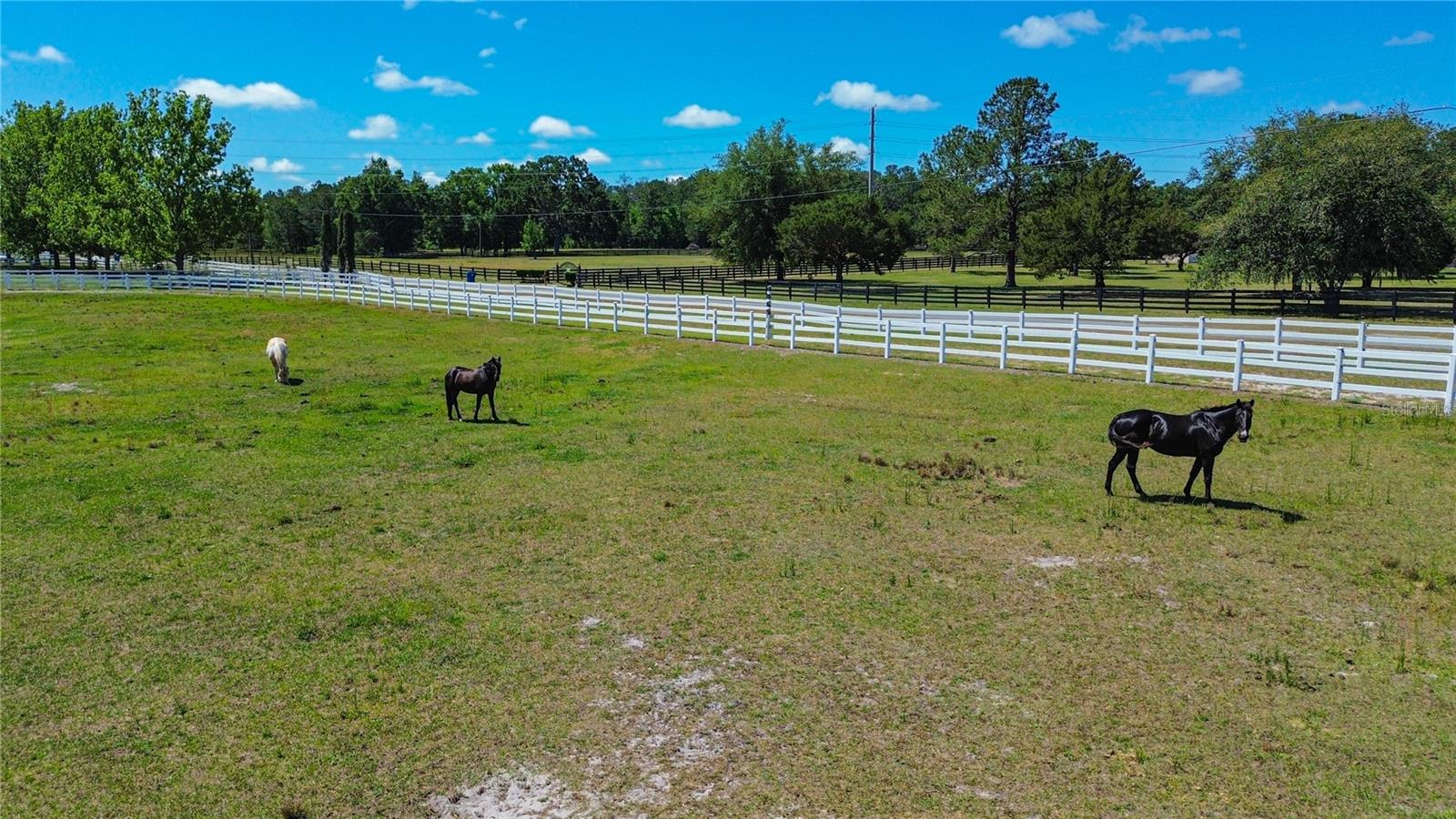 6489 QUARTERHORSE LN, BROOKSVILLE, FL, 34604