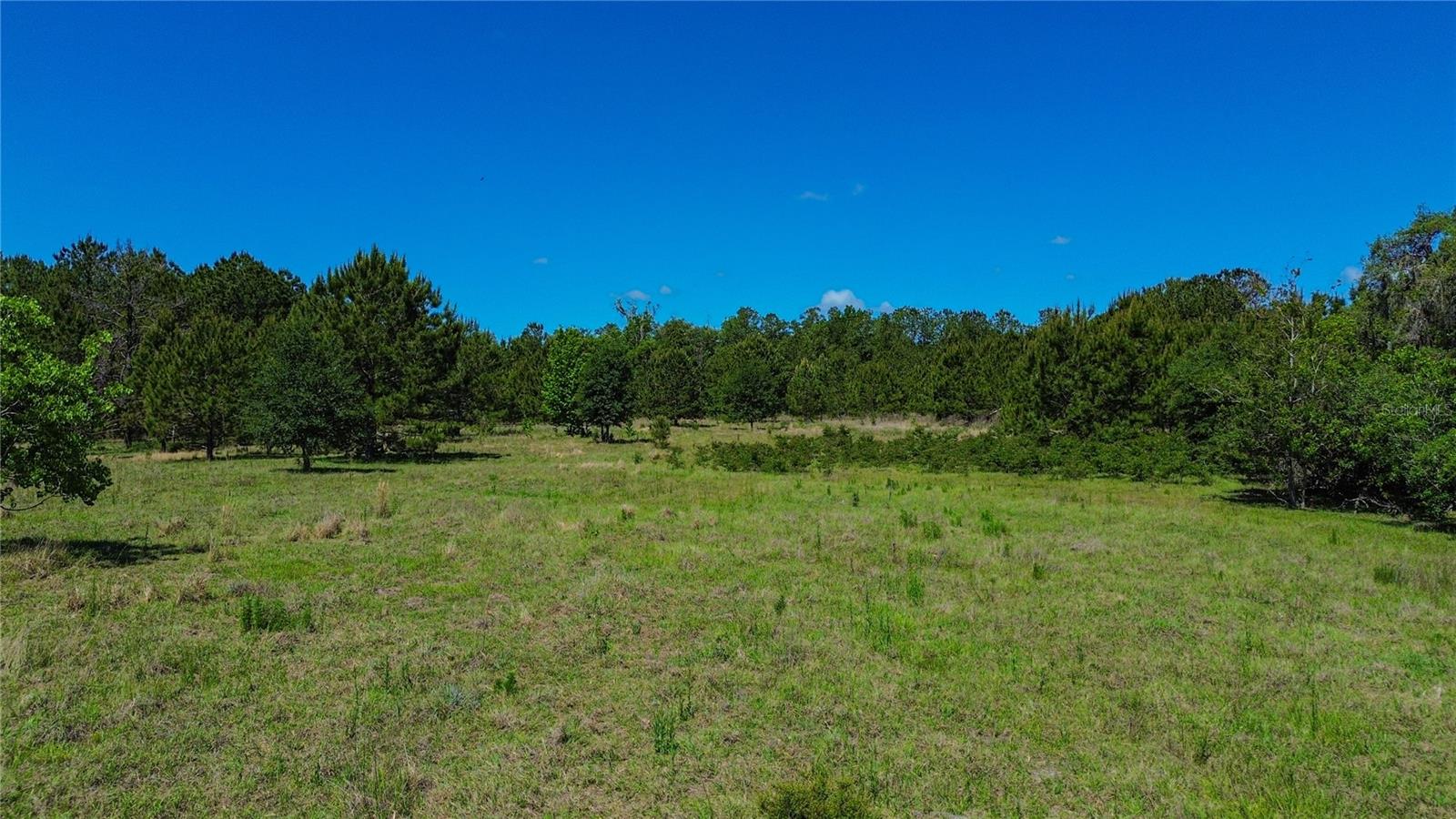 6489 QUARTERHORSE LN, BROOKSVILLE, FL, 34604