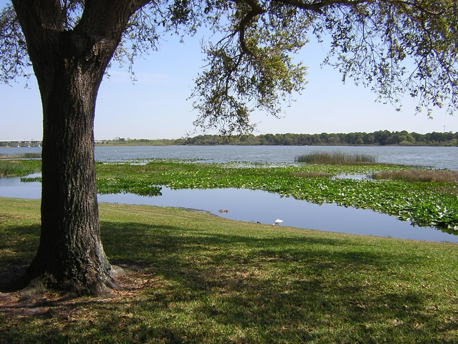 9209 SEMINOLE BLVD #67, SEMINOLE, FL, 33772