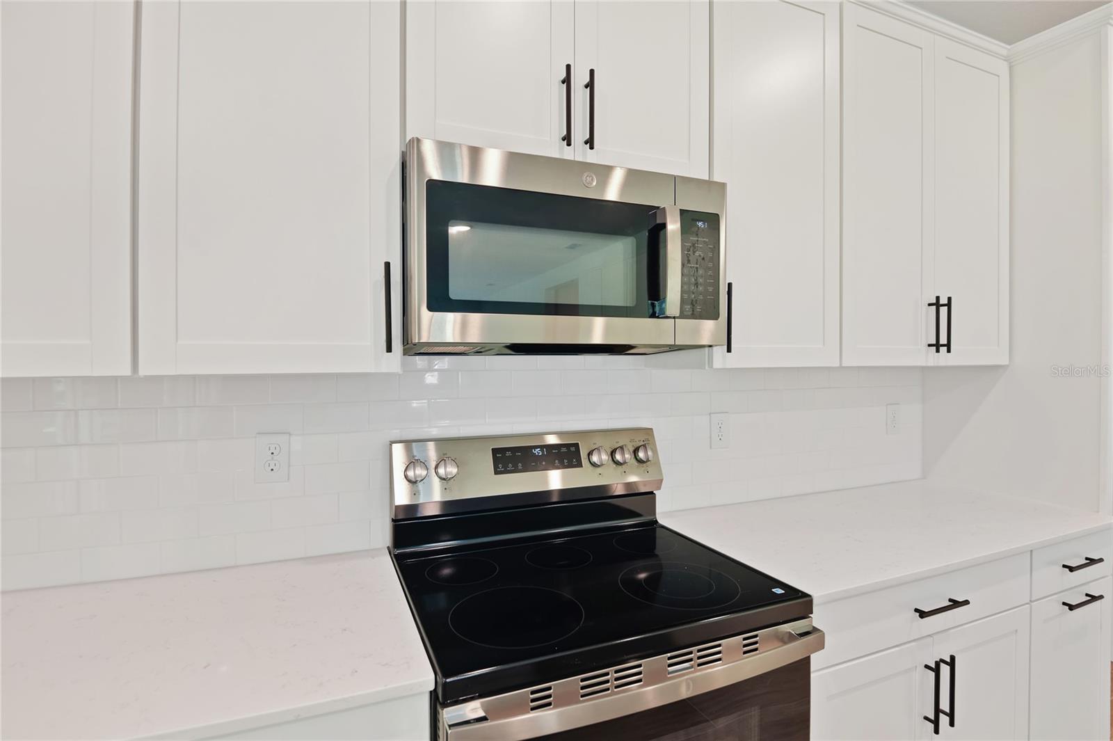 1034 CLOUD RIDGE CT, MOUNT DORA, FL, 32757