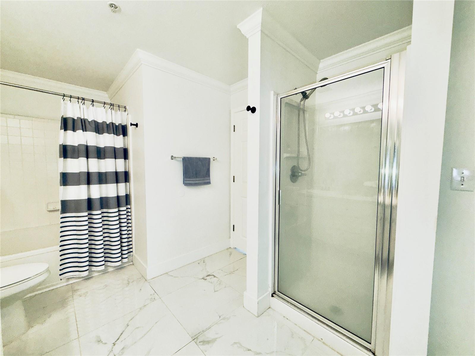 18111 BRIDLE BIT LN, TAMPA, FL, 33647