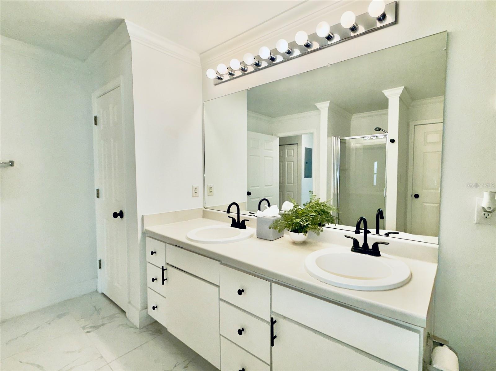 18111 BRIDLE BIT LN, TAMPA, FL, 33647