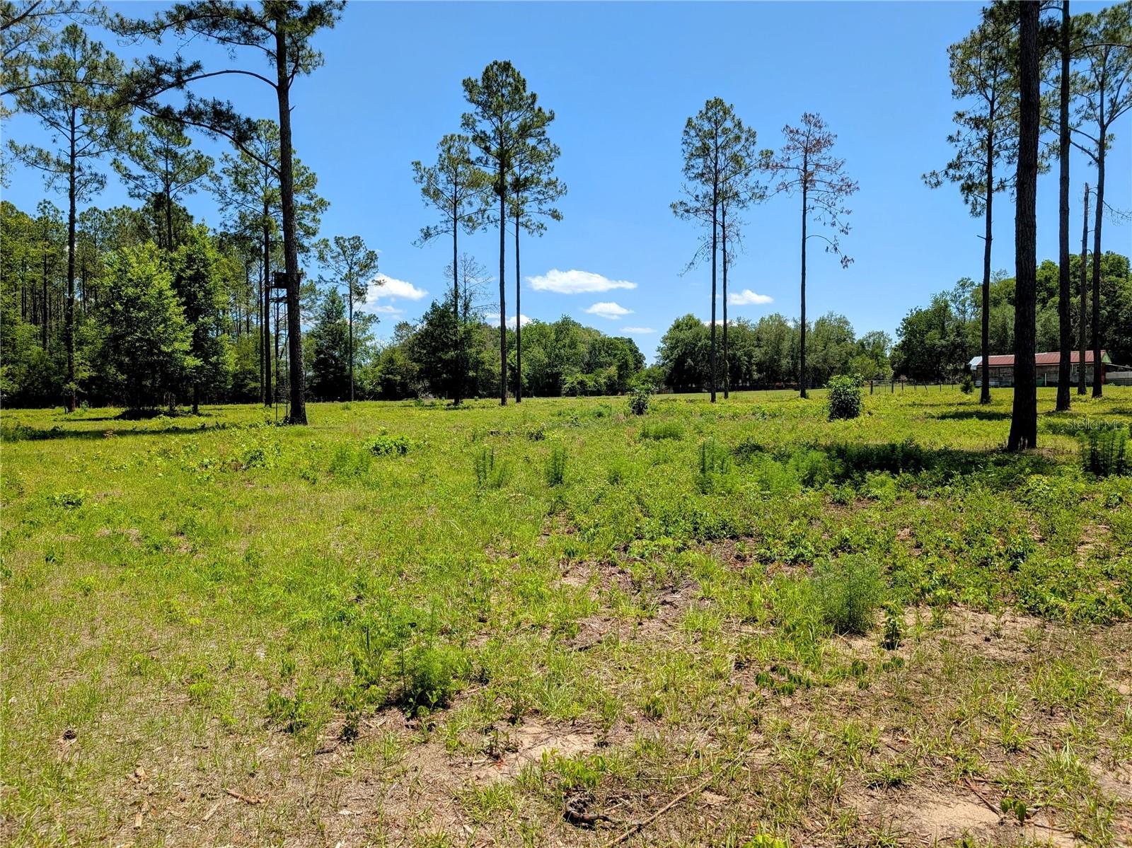 14421 NW 214TH TER, HIGH SPRINGS, FL, 32643