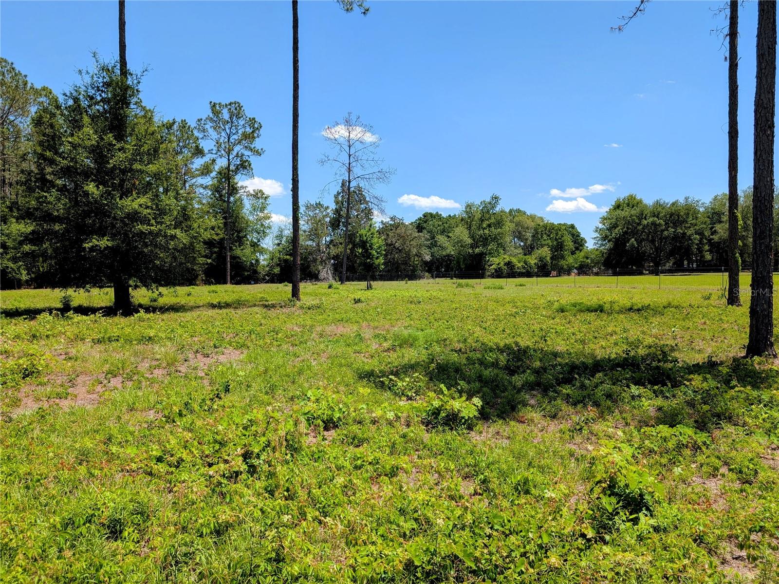 14421 NW 214TH TER, HIGH SPRINGS, FL, 32643