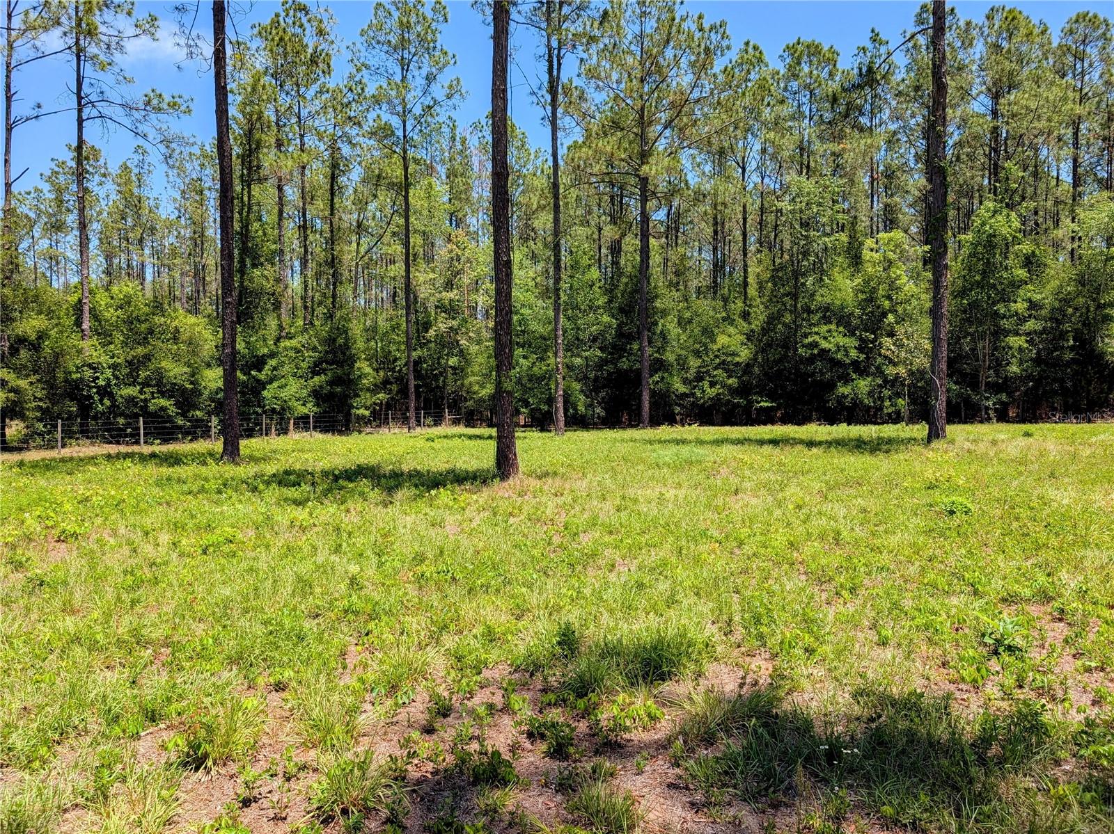 14421 NW 214TH TER, HIGH SPRINGS, FL, 32643