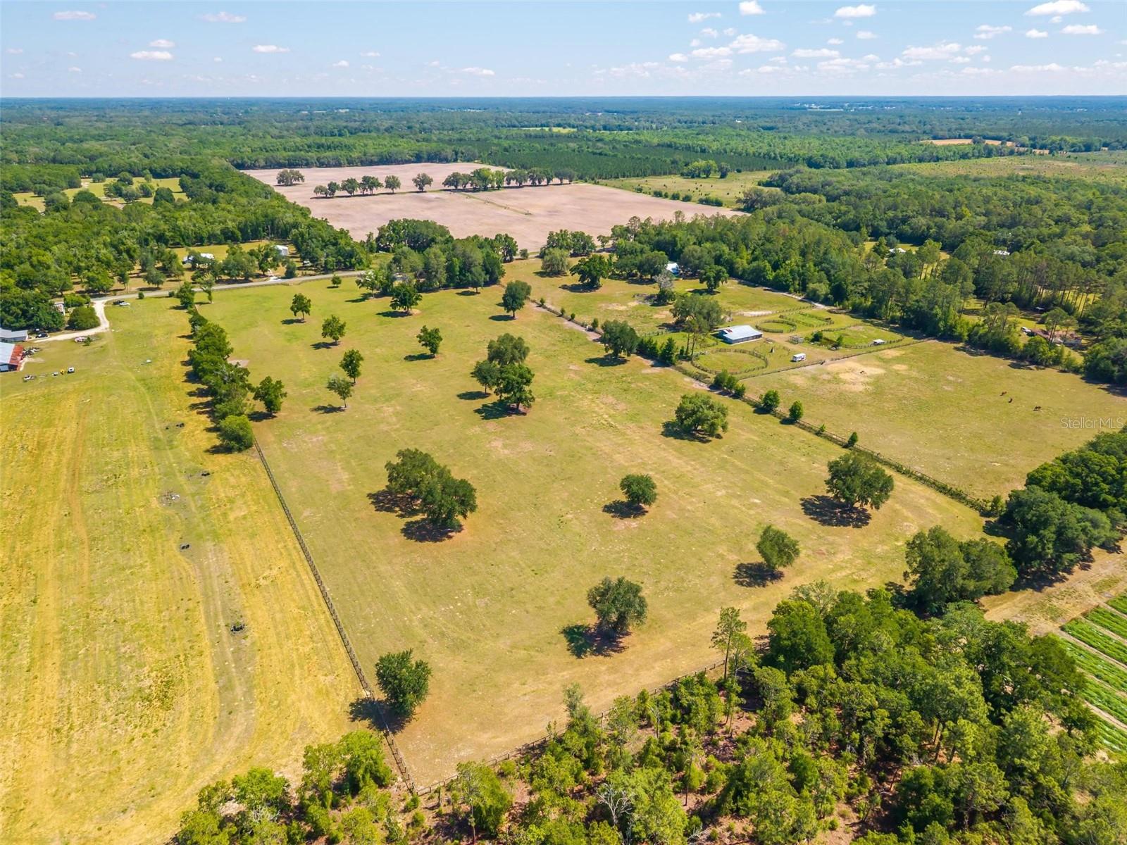 TBD SE 42ND PL, MORRISTON, FL, 32668