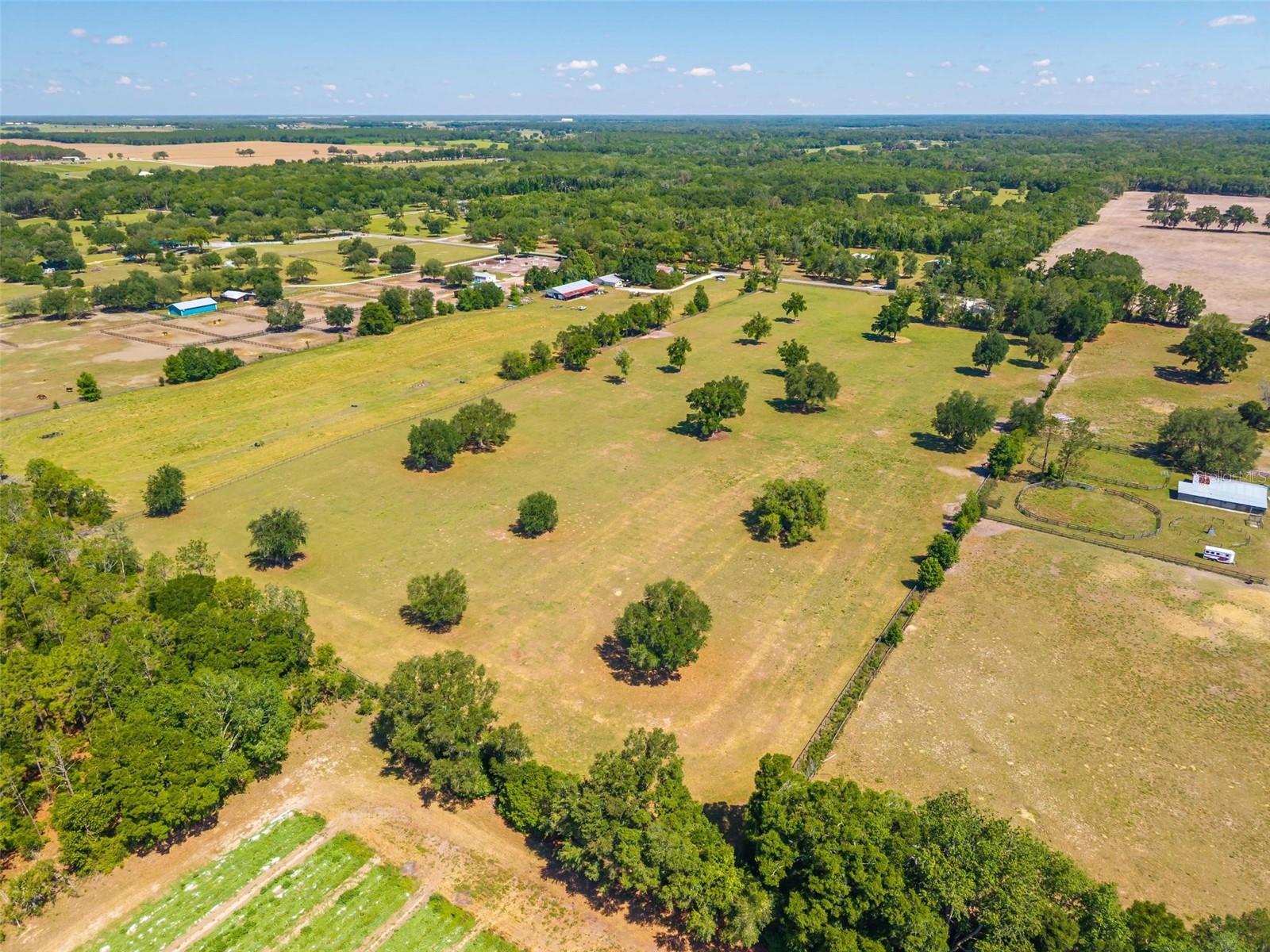 TBD SE 42ND PL, MORRISTON, FL, 32668