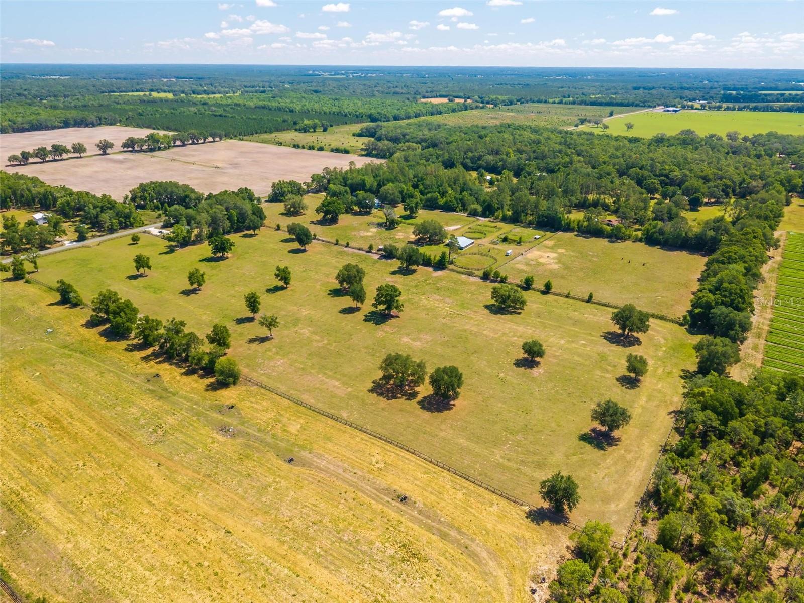 TBD SE 42ND PL, MORRISTON, FL, 32668