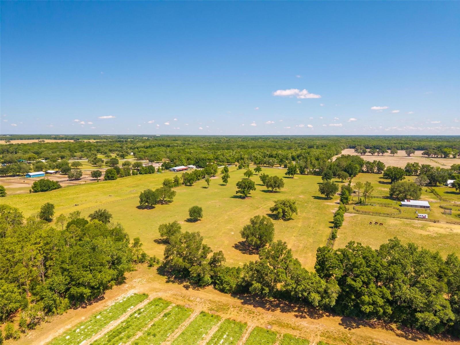 TBD SE 42ND PL, MORRISTON, FL, 32668