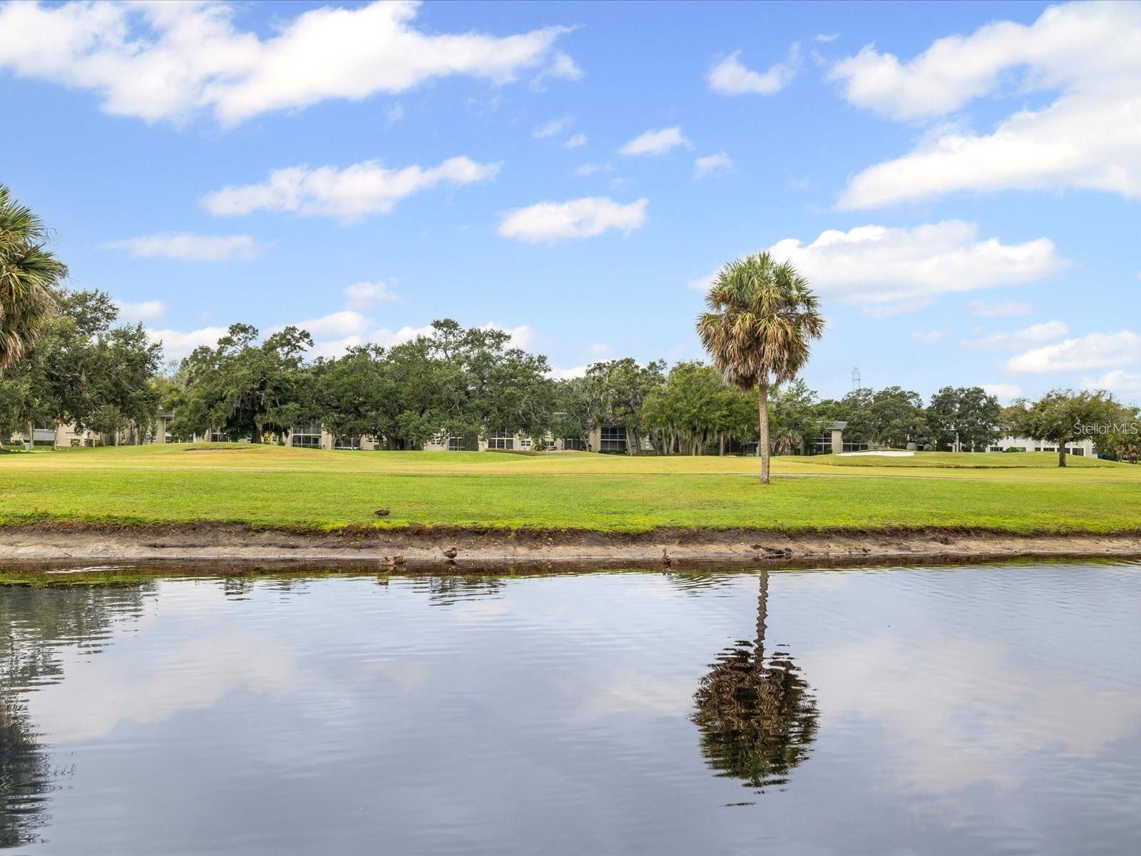 225 COUNTRY CLUB DR #1604, LARGO, FL, 33771