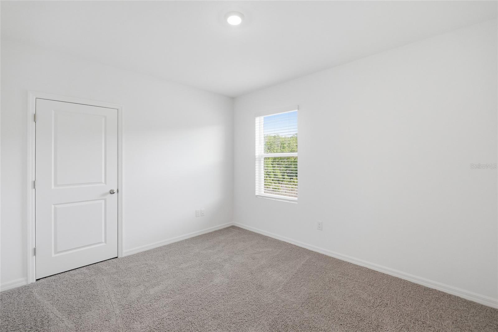 17786 ACORN DROP RD, LAND O LAKES, FL, 34638