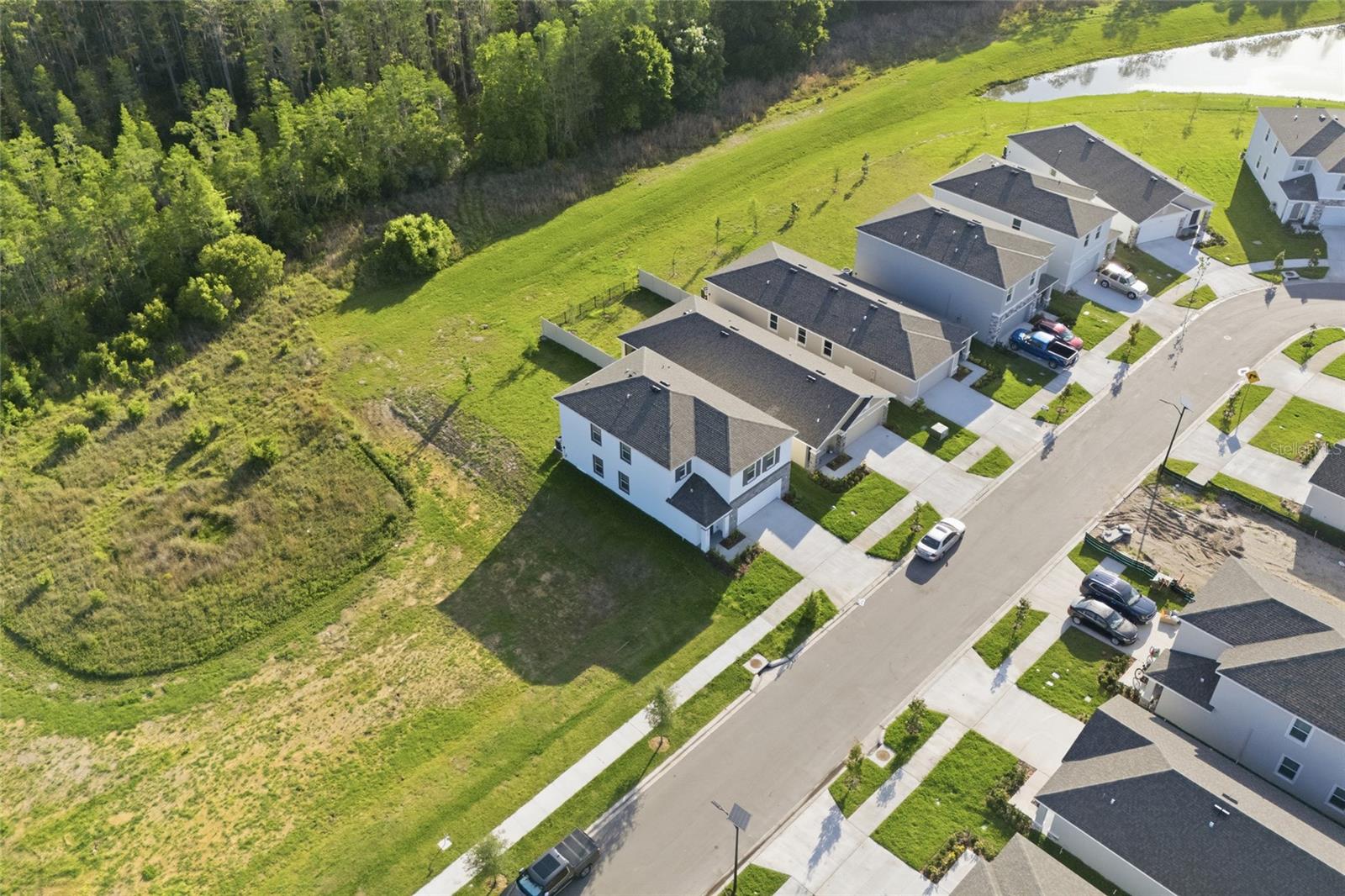 17786 ACORN DROP RD, LAND O LAKES, FL, 34638