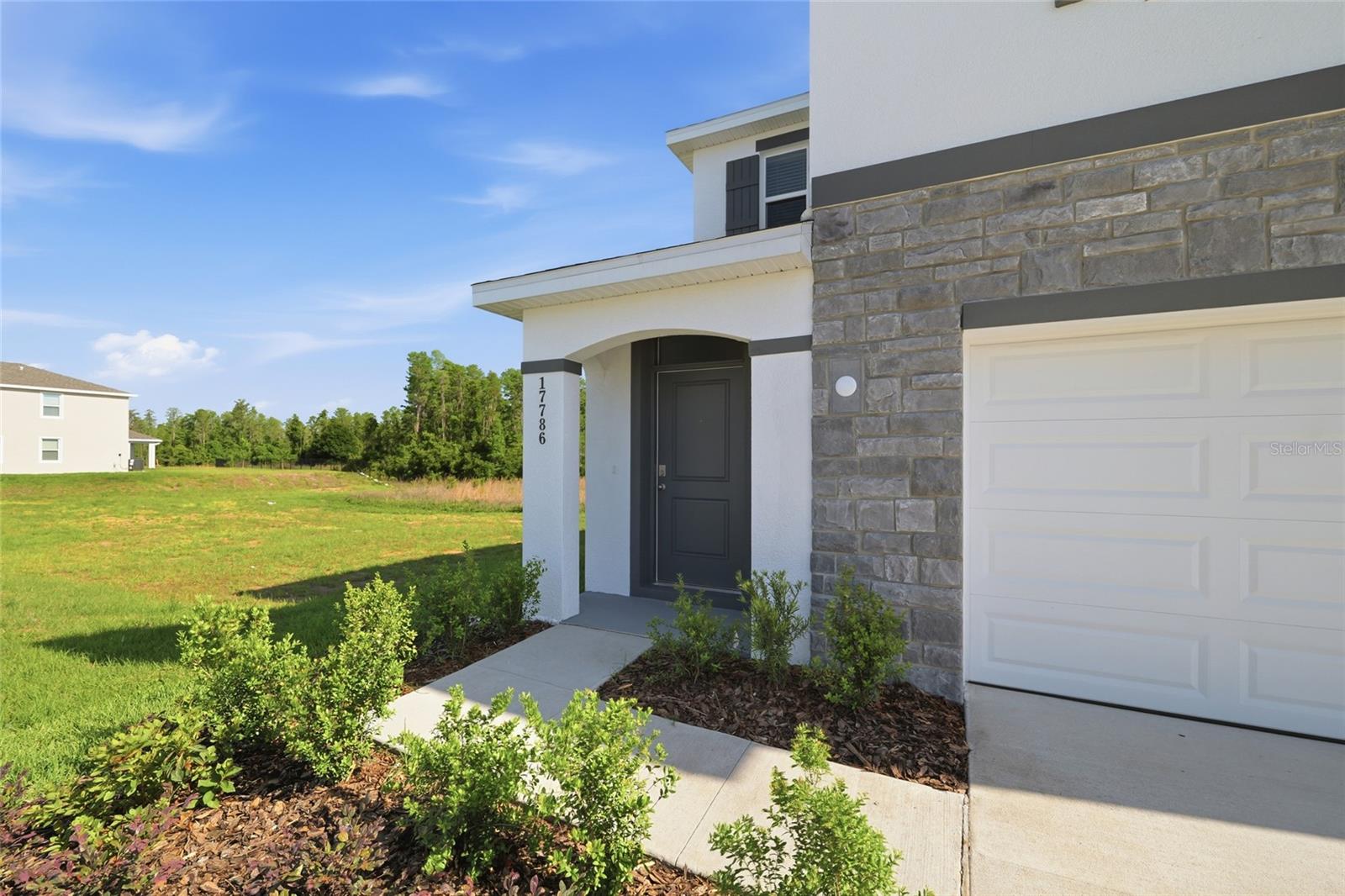 17786 ACORN DROP RD, LAND O LAKES, FL, 34638