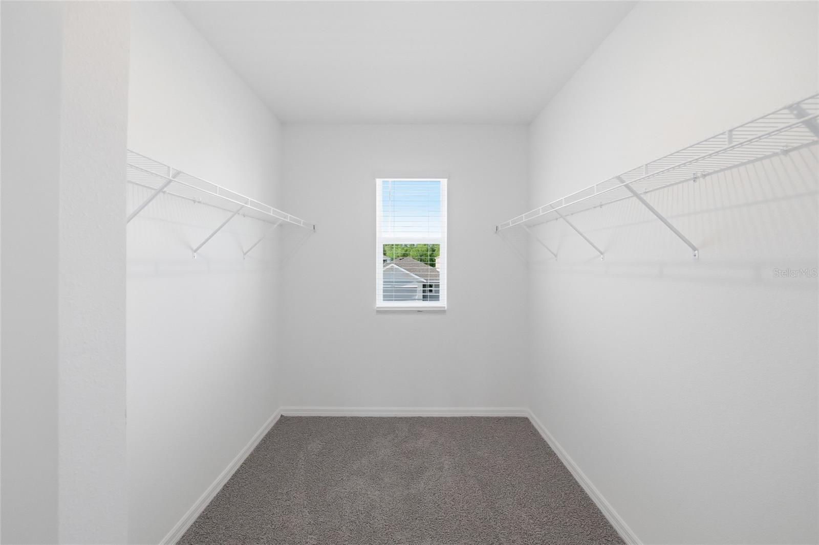 17786 ACORN DROP RD, LAND O LAKES, FL, 34638