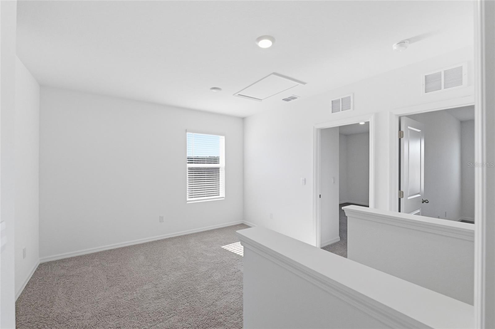 17786 ACORN DROP RD, LAND O LAKES, FL, 34638