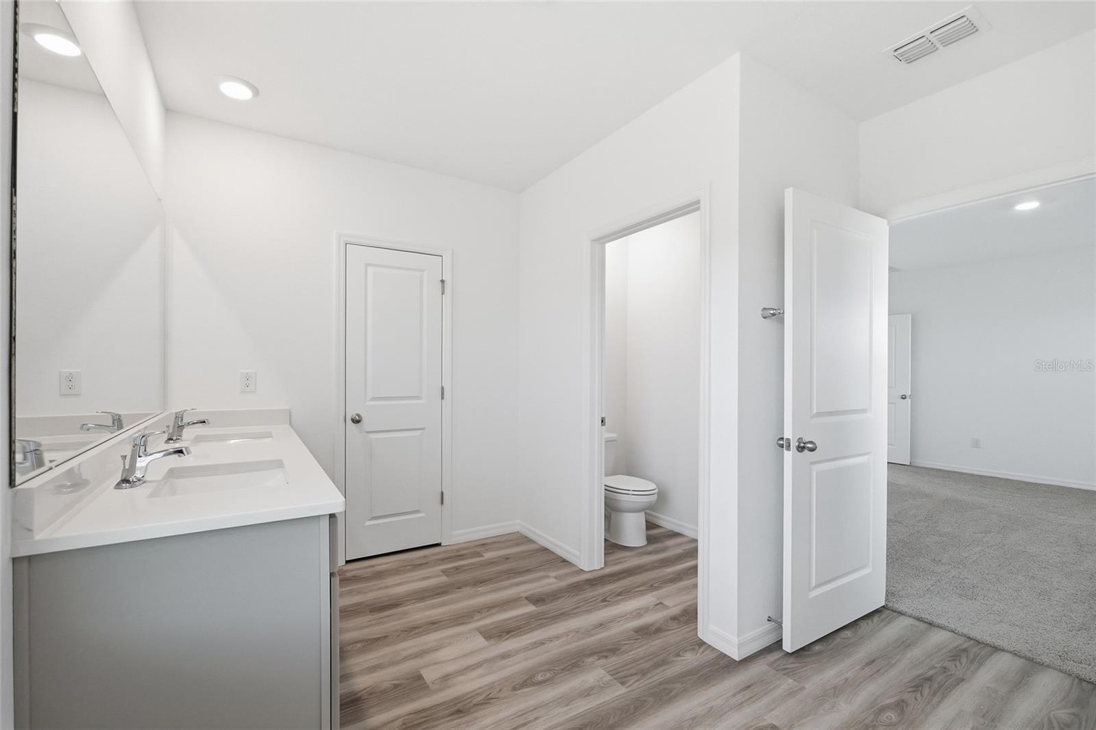 17786 ACORN DROP RD, LAND O LAKES, FL, 34638