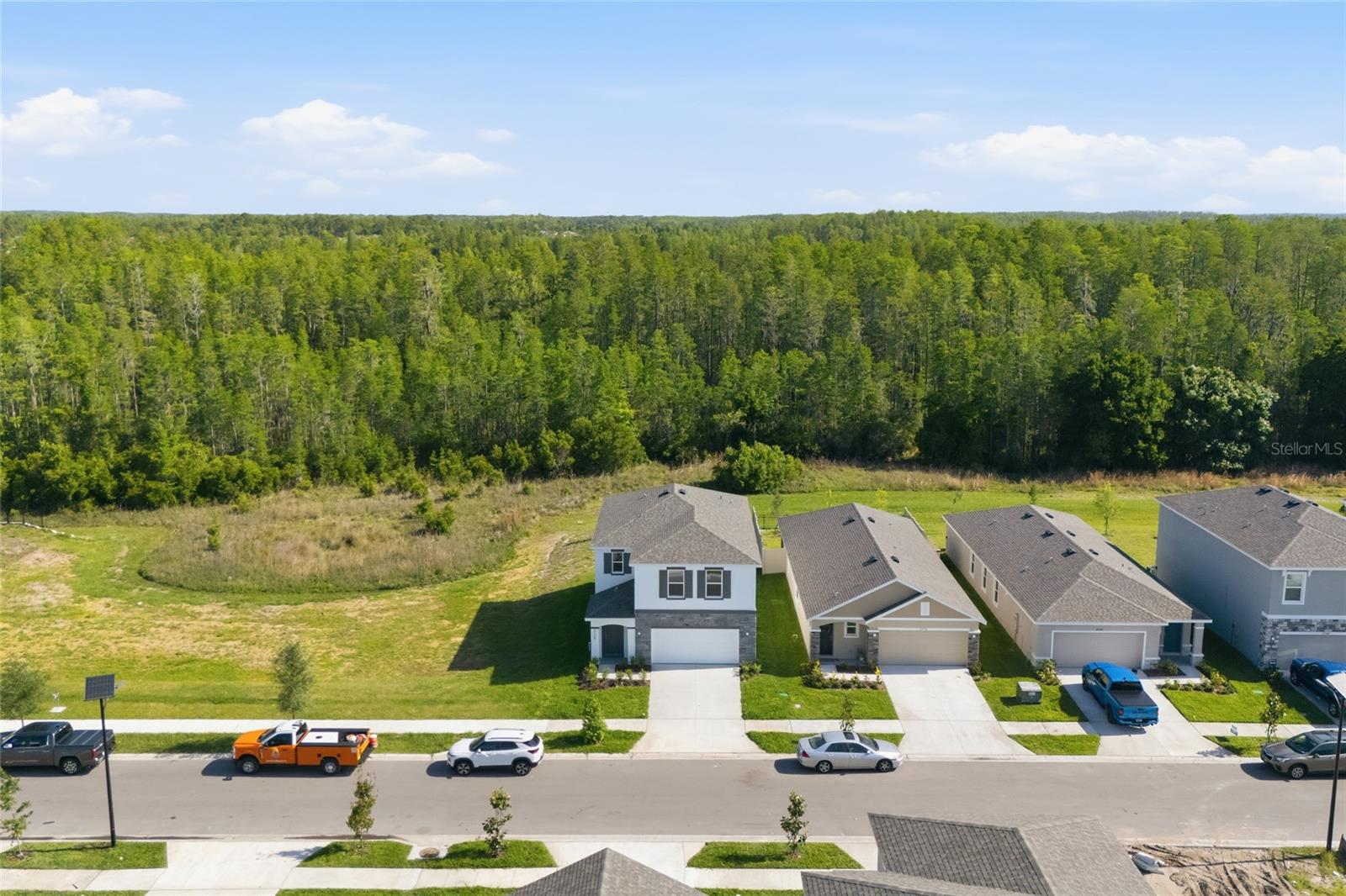 17786 ACORN DROP RD, LAND O LAKES, FL, 34638