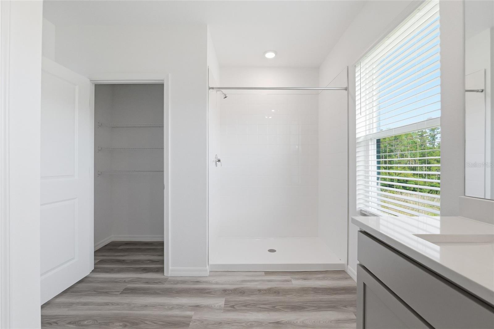 17786 ACORN DROP RD, LAND O LAKES, FL, 34638
