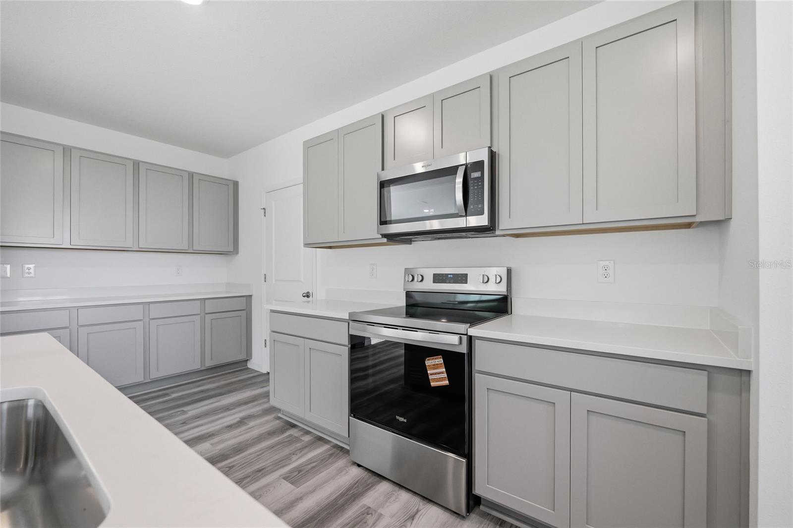 17786 ACORN DROP RD, LAND O LAKES, FL, 34638
