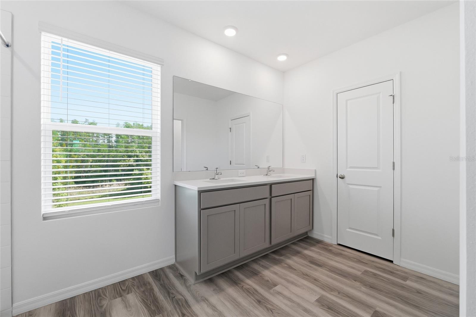 17786 ACORN DROP RD, LAND O LAKES, FL, 34638