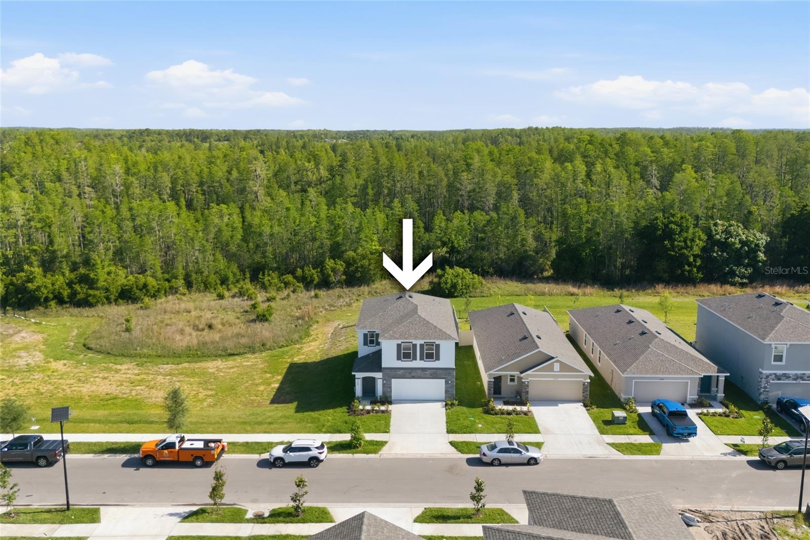 17786 ACORN DROP RD, LAND O LAKES, FL, 34638