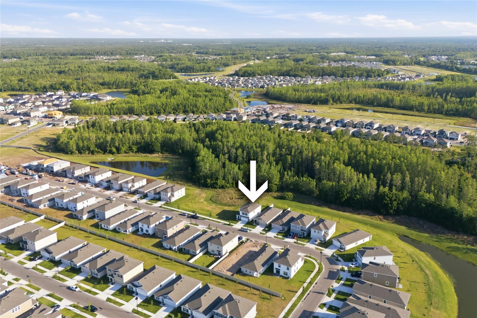 17786 ACORN DROP RD, LAND O LAKES, FL, 34638