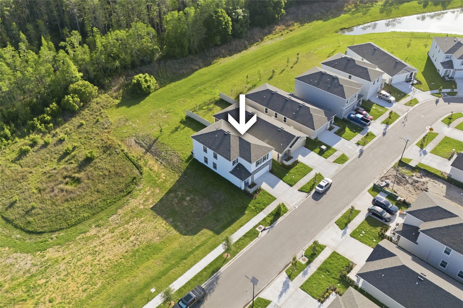 17786 ACORN DROP RD, LAND O LAKES, FL, 34638