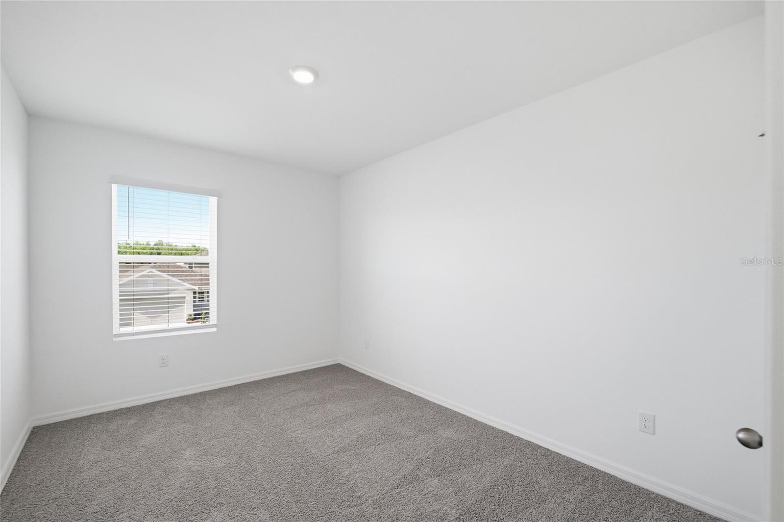 17786 ACORN DROP RD, LAND O LAKES, FL, 34638