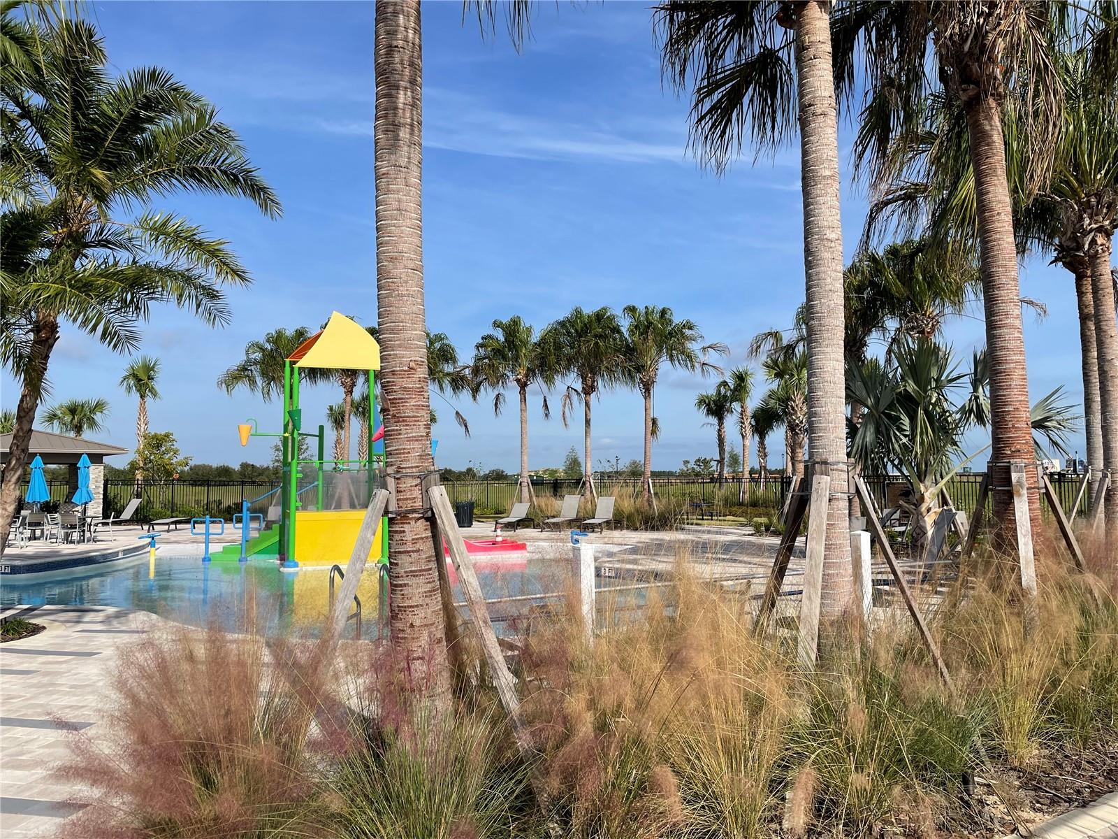 7152 DILLY LAKE AVE, GROVELAND, FL, 34736