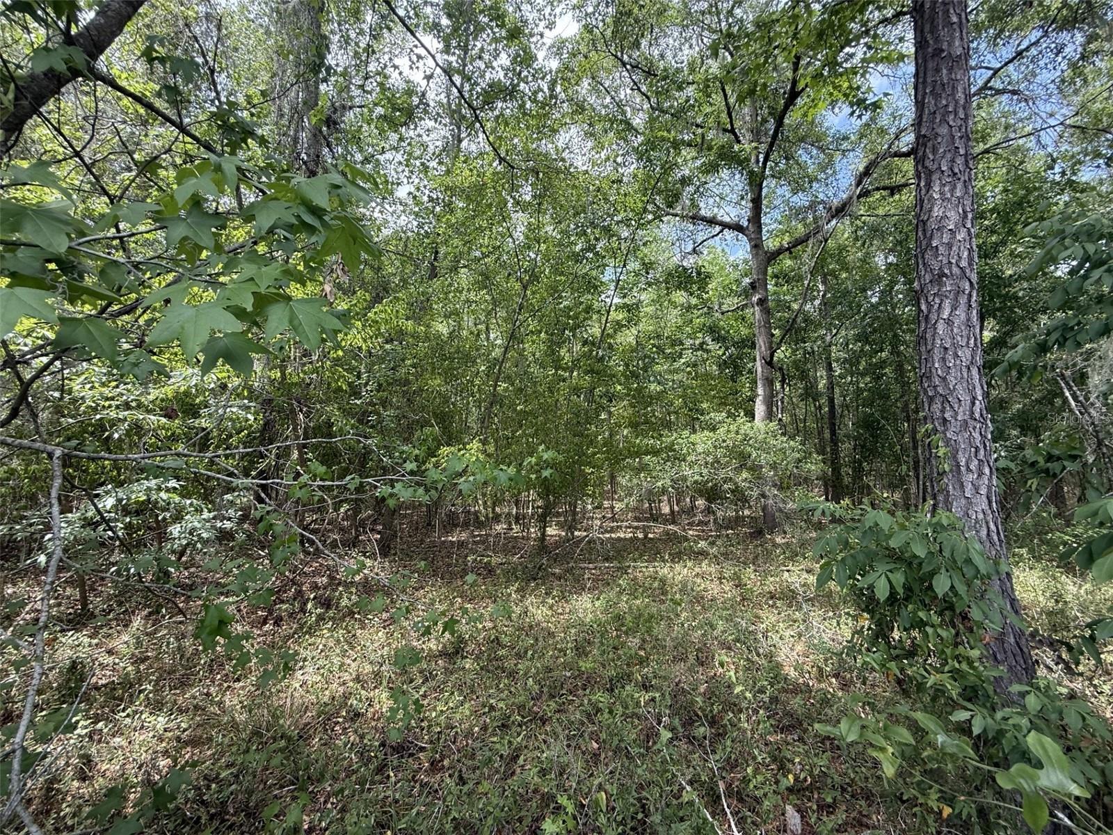 11570 NW 74TH TER, ALACHUA, FL, 32615