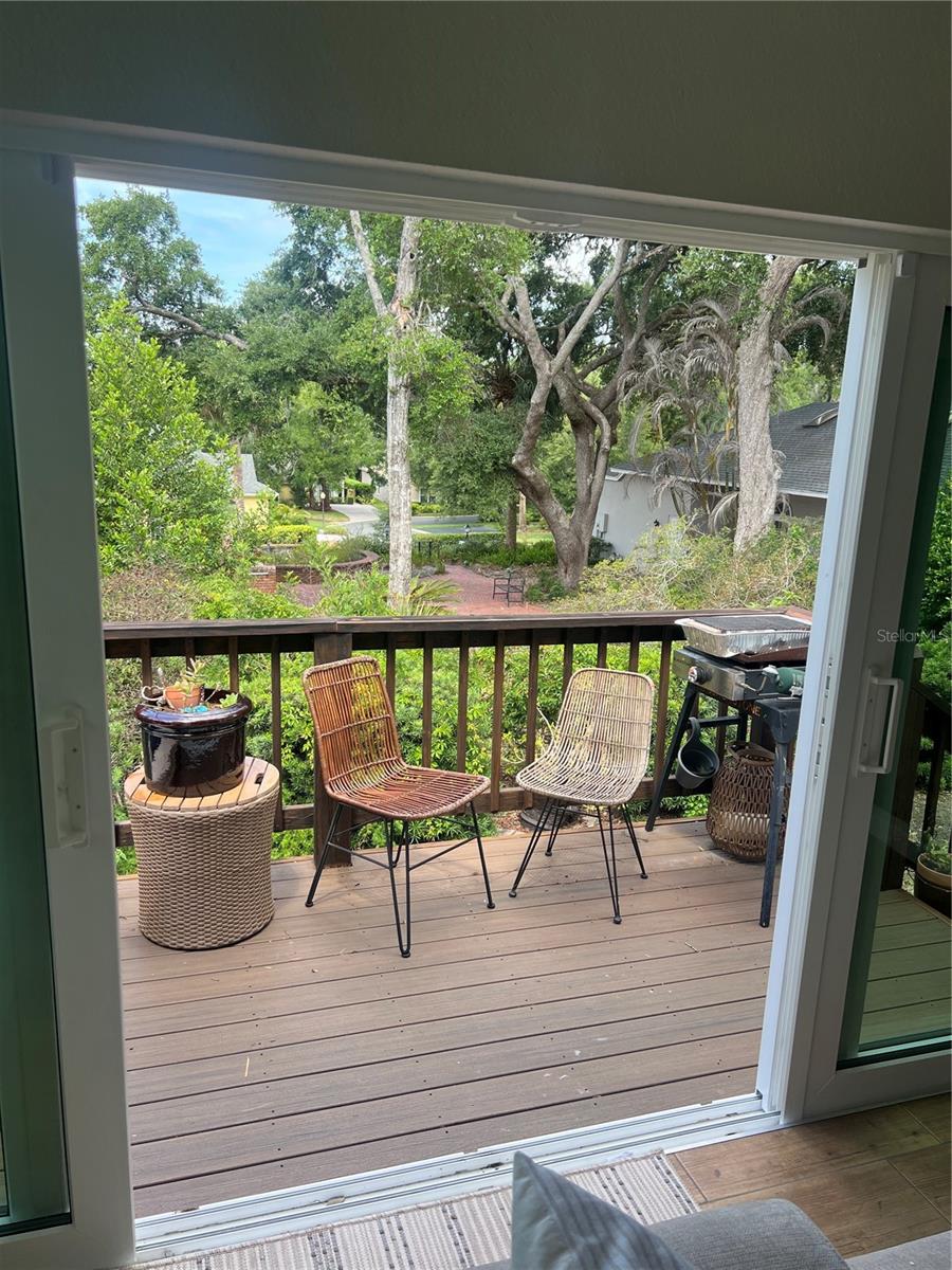 631 SAND LAKE CT, MOUNT DORA, FL, 32757